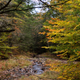 Illustration for article titled Fall Photos 2